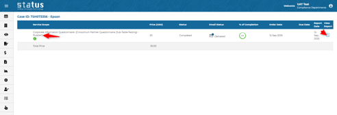 Questionnaire language display